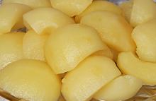  Canned   Apple   Dice s in Syrup
