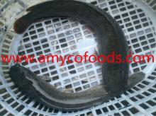 Catfish whole round frozen