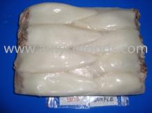 Frozen Loligo Squid(Loligo Chinensis) good quality