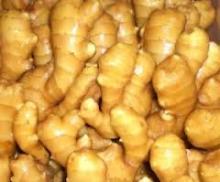 Fresh Ginger,Dry Ginger,Air Dry Ginger