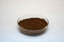 Spray Dried puer tea powder
