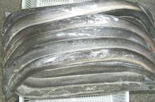  Frozen   Eel  Fish
