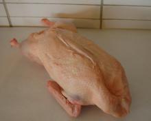 Frozen  Whole   Duck s for sale