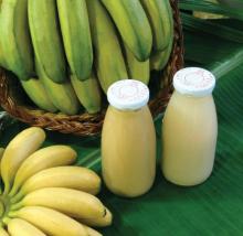 100% Pure Natural Banana Puree Wholesale
