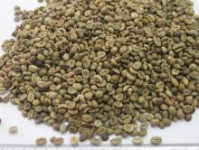 VIETNAM ROBUSTA COFFEE S13/S16/S18 FOR SALE
