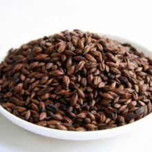 whosaler of good quality Australian beer barley in bulk with competitive price