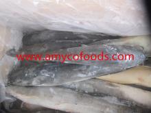 Catfish whole round Fresh Frozen