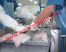 Tilapia Fillet  skinless 