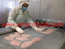 Tilapia Fillet  fresh   IQF 