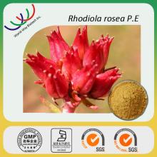 rhodiola rosea extract