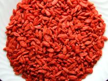 Dry Goji Berry