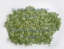 freeze  dried   leek 