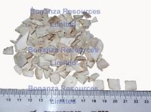 freeze dried mushroom