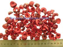 freeze dried  sour   cherry  slice