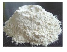 garlic powder