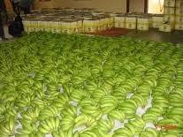 Ripe and Unripe quality Bananas