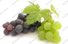 Grape   juice   powder 