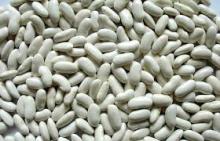 White Kidney beans