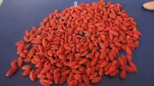 Dried Goji Berries