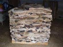 WET SALTED COW SKIN