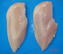 Halal Frozen  chicken  fillet