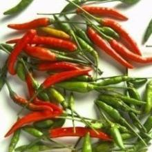  Red   Pepper   extract s, Capsanthin