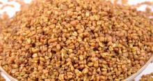 Tartary buckwheat tea bulk pack