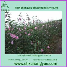 factory price  hibiscus   extract  powder