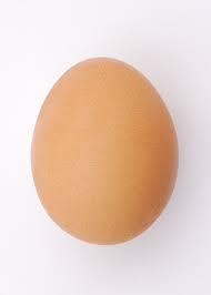 Farm Fresh Chicken Table Eggs Brown and White Shell Chicken Eggs