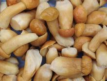 brined boletus edulis