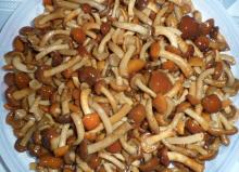 brined nameko