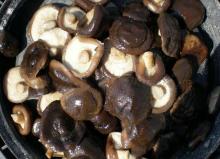  brined   shiitake 