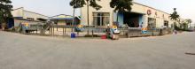 Continuously  Automatic   Vegetable  Washing Peeling Cutting Blanching Cooling Drying Line