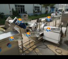 Fully Automatic Ginger Washing Peeling Cutting Blanching Cooling Drying Line,