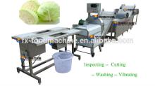 vegetable cutting washing drying processing line