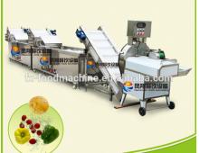  Vegetable  chopping cutting & washing cleaning  processing  line