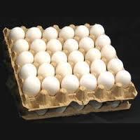 Best quality Fresh Chicken Eggs for sale