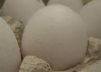 India Farm Fresh Chicken Egg