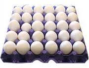 Quality Chicken Eggs