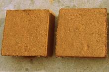 Coconut  peat 