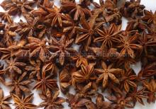 Best Price STAR  ANISEED  Vietnam