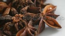 Best Price HIGHT QUALITY NEW CROP Vietnam STAR ANISE
