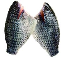 Tilapia Fillet skinon high quality