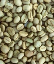 Green coffee