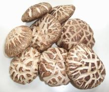  Dried   Shiitake  Mushroom