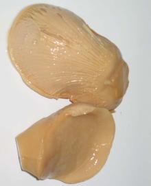 Canned  Bail ing Mushrooms