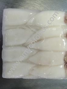  Loligo  Squid( Loligo   Chinensis )