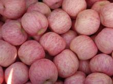 fresh apples