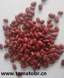 small red kidney beans