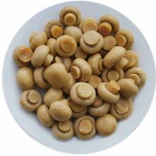 Provide a Wide Range of Canned  Mushroom  for Canned Vegetables